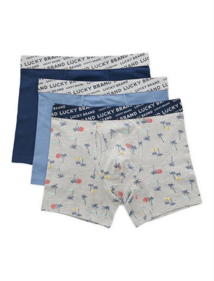 PALM PRINT BOXER BRIEF | Lucky Brand - Click Image to Close