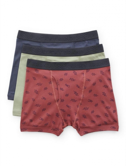 SNAKE PRINT BOXER BRIEF | Lucky Brand - Click Image to Close